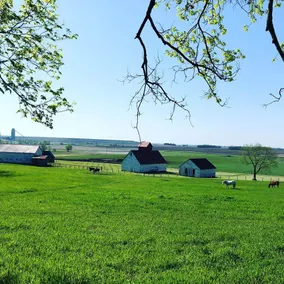 Relaxing Vineyard Cottage on a Peaceful Farm - Image 3