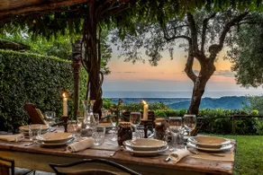 Borgo Metato – Olive Grove - Image 3