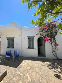 Grand Villa with Yard - Image 3