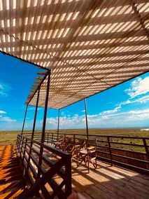 Dreamwood @ Ol 'Pejeta, Nanyuki - Image 2