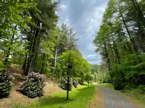 Peaceful Cabin *Trails *Fire-Pit *12 Private Acres - Image 2