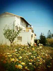 Siroco Apartment, 200 meters from the beach - Image 5