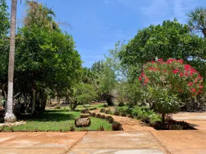 Close to Cenotes and Haciendas - Image 2