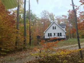 Washington Island Fern Woods - Image 2