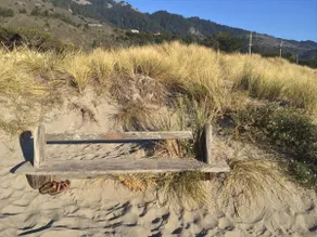 Updated & Peaceful Beach Retreat - Image 4
