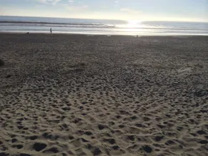 Updated & Peaceful Beach Retreat - Image 3