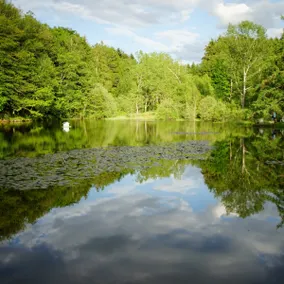 L'Etang d'Anty: The Beautiful Escape... Unusual Furnished - Image 3