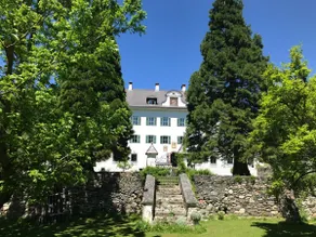 Schloss Gstatt, Country Castle - Image 3