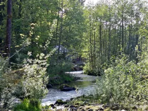 The Riverhouse on the Sandy River, Mt. Hood Oregon - Image 5