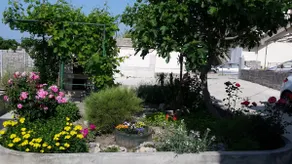 Apartments Kiriginac - Lavander near Split - Image 3