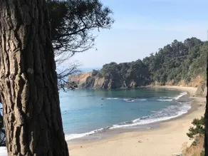 Adorable cottage w/ ocean views, redwoods, and a hot tub. Pets OK! - Image 2