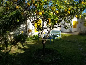 Casita Marinera in the south of Mallorca - Image 2