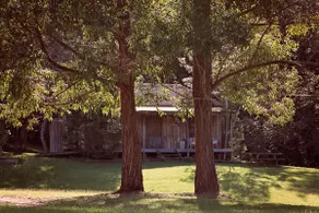 Tranquil Rustic Log Cottage - self-contained - Image 2