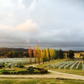 Harrington Glen Estate | Luxury Among the Vines - Image 2