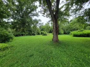 Bright & Quiet 1BR w/ Kitchen, Backyard + Parking - Image 5