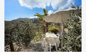 THE TAVERN among the olive trees - Image 3
