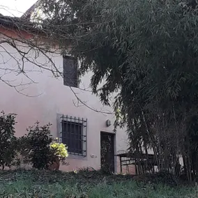 The Green House - Image 5