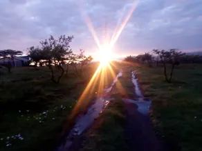 The great Masai mara guest house - Image 3