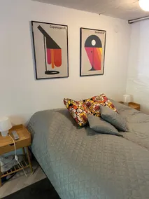 Villa Lammenranta Suite - Image 2