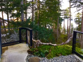 Quadra Island-Sea Horse Suite - Image 4