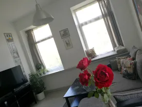 Modern Apartment. Near Shopping, Cafes, Old Town. - Image 3