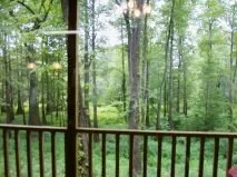 The Emerald Forrest Swamp Cabin - Image 2