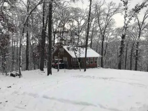 Pruitt Mountaintop Cabin Rental - Image 2