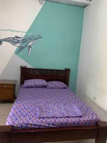 “Aparta Ballena” full equipment apartment with a/c - Image 2