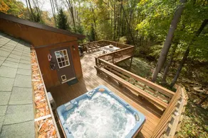 Cougar Cabin, private woods private hot tub - Image 3