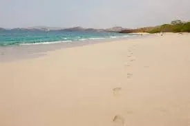 Aledu Apartments near Playa Conchal - Image 3