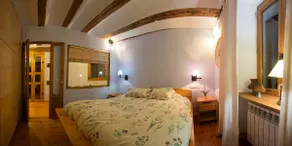 Historic 16th century house Anciles for 4-Benasque-wifi - Image 4