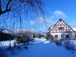Les Cigognes Nature Lodge - Image 4