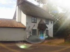 Cosy New Forest Annexe near town - Image 3