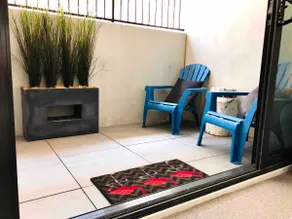 Landscaped Inner City Designer Living - Image 4