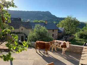 Maison traditionnelle en Lozère - Image 5