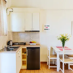 Economy Family Apartment - Image 2