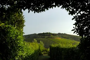 LaQuerciaEstate -Quintessential Italian Experience - Image 2