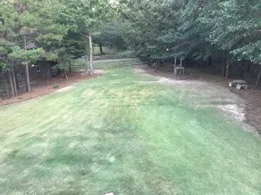 Country Estate in City limits - Image 4
