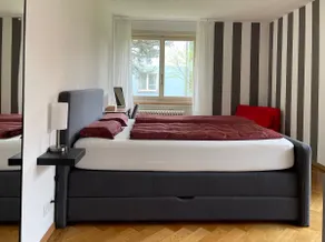 Cozy apartment in Zurich/Netflix/terrace - Image 2
