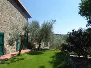 Podere Solatio - Tuscany Hills next to Florence - Image 2
