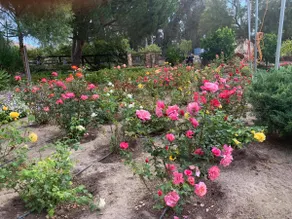 The Four Winds Ranch - Image 5