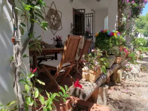 Villa with swimming pool and private pine forest 100 meters from the sea - Image 5