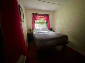 Dragonfly Cottage Off-grid rustic nature hideaway - Image 2