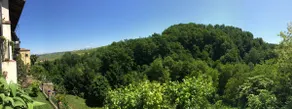 Under the Castle. Silent charm in Barolo. - Image 2
