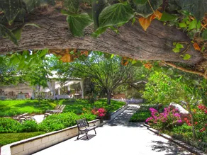 Quinta Arratz - Image 5