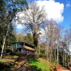 The House in the Forest overlooking the River. - Image 5