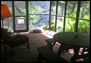 Wrightsville Cabin, 1/4 mile from river, fire pit - Image 5