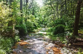 Wrightsville Cabin, 1/4 mile from river, fire pit - Image 2