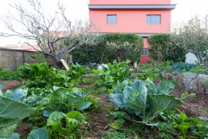 La Casa del Huerto - Image 3