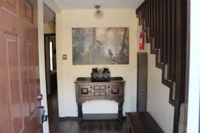 Bear's Eye View - Image 3